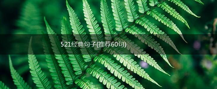 521经典句子(推荐60句),第1张
