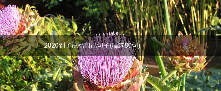 2020到了祝福自己句子(精选80句),第1张