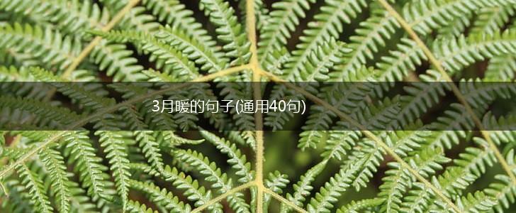 3月暖的句子(通用40句),第1张
