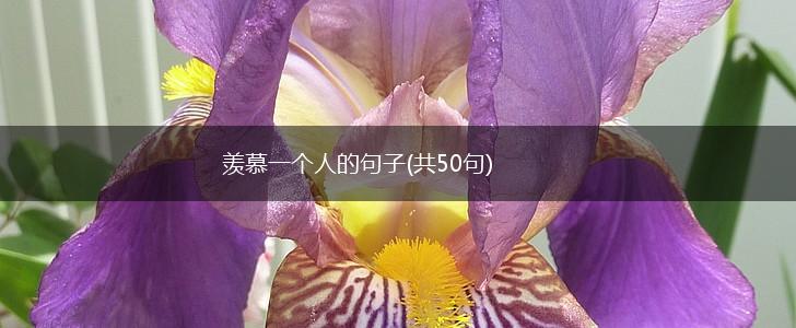 羡慕一个人的句子(共50句),第1张