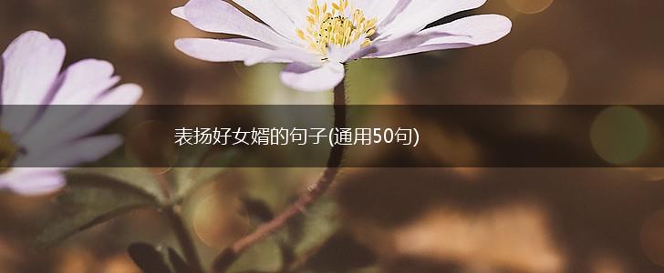 表扬好女婿的句子(通用50句),第1张