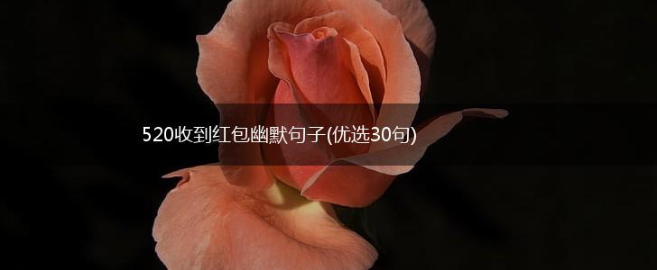 520收到红包幽默句子(优选30句),第1张