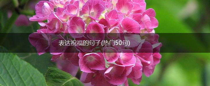 表达祝福的句子(热门50句),第1张