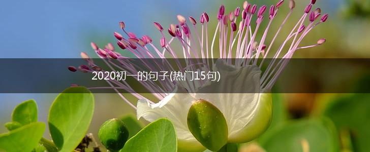 2020初一的句子(热门15句),第1张