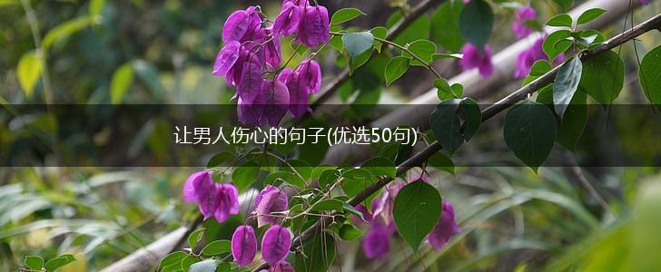 让男人伤心的句子(优选50句),第1张