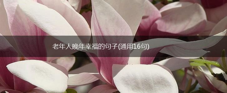 老年人晚年幸福的句子(通用16句),第1张