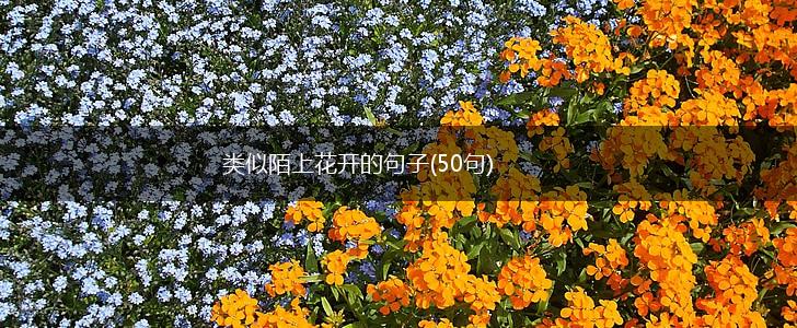 类似陌上花开的句子(50句),第1张