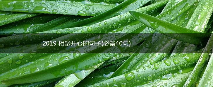 2019 相聚开心的句子(必备40句),第1张