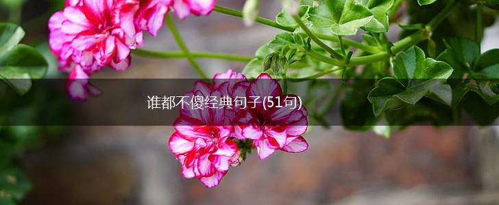 谁都不傻经典句子(51句),第1张