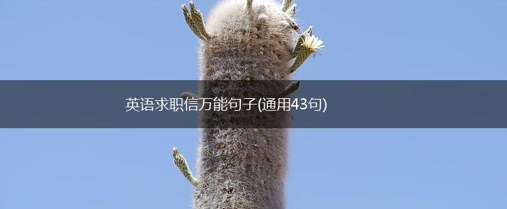 英语求职信万能句子(通用43句),第1张