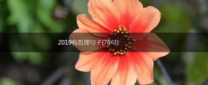 2019有哲理句子(70句),第1张