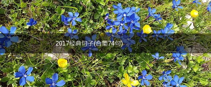 2017经典句子(合集74句),第1张