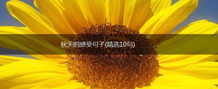 秋天的感受句子(精选10句),第1张