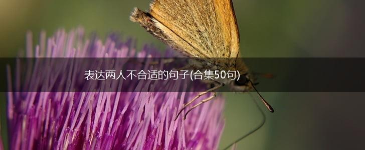 表达两人不合适的句子(合集50句),第1张