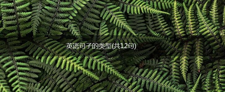 英语句子的类型(共12句),第1张