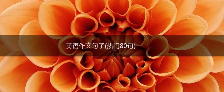 英语作文句子(热门80句),第1张
