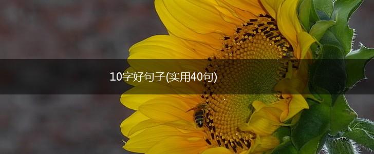 10字好句子(实用40句),第1张