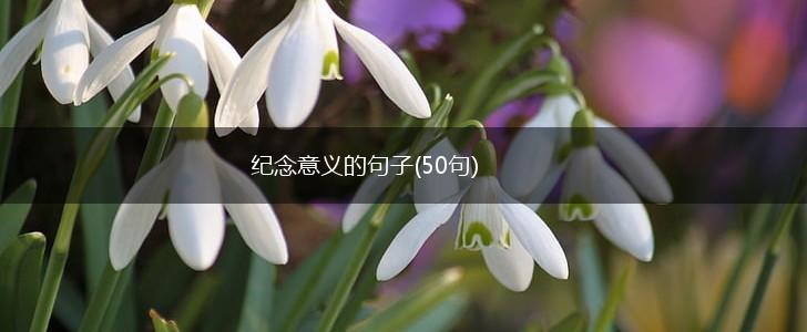 纪念意义的句子(50句),第1张