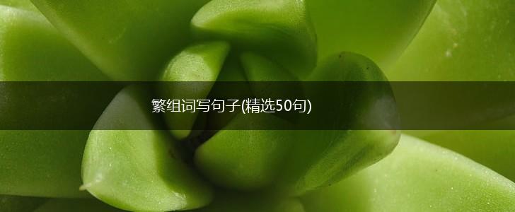 繁组词写句子(精选50句),第1张