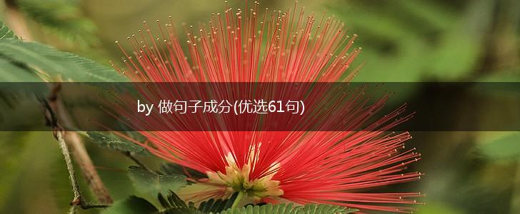 by 做句子成分(优选61句),第1张