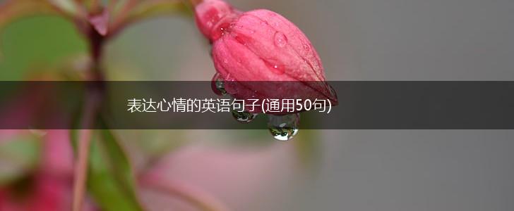 表达心情的英语句子(通用50句),第1张