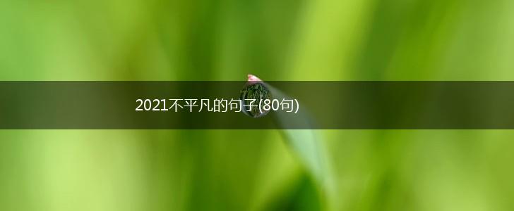2021不平凡的句子(80句),第1张