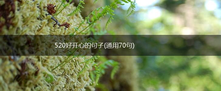 520好开心的句子(通用70句),第1张