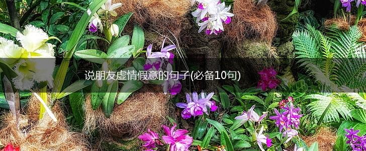 说朋友虚情假意的句子(必备10句),第1张