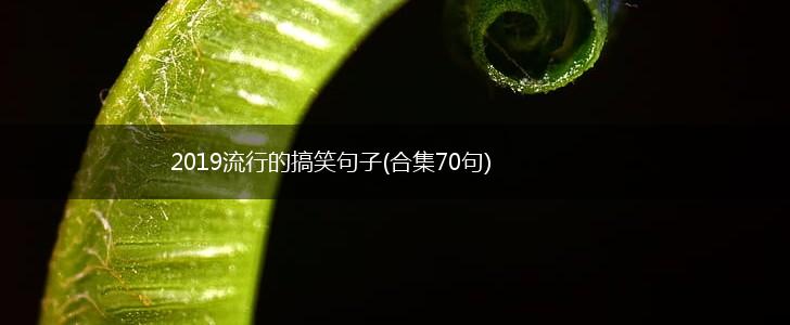 2019流行的搞笑句子(合集70句),第1张