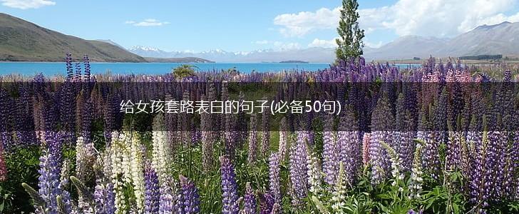 给女孩套路表白的句子(必备50句),第1张