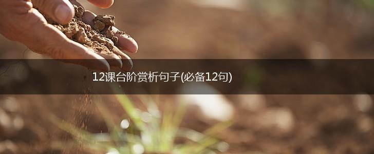 12课台阶赏析句子(必备12句),第1张