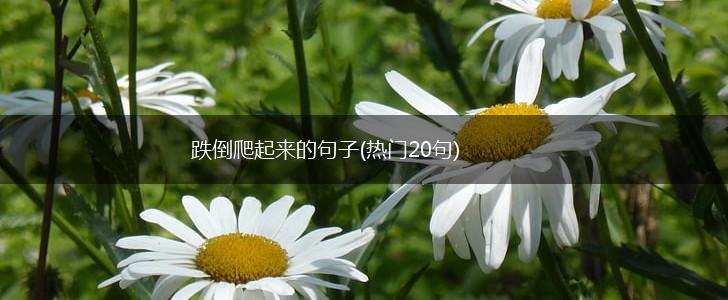 跌倒爬起来的句子(热门20句),第1张