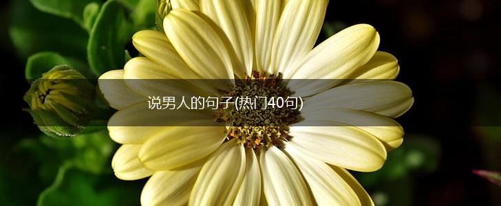 说男人的句子(热门40句),第1张