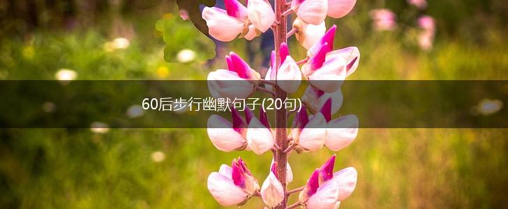 60后步行幽默句子(20句),第1张