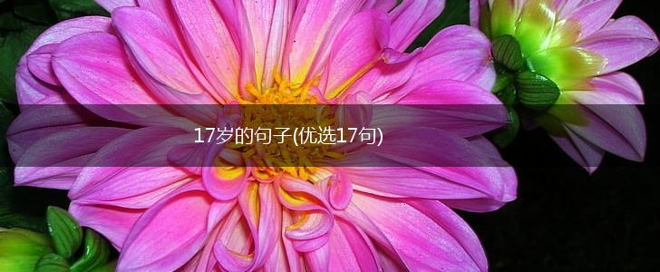 17岁的句子(优选17句),第1张