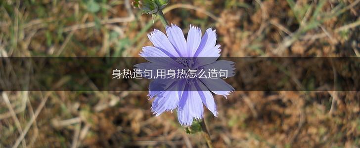 身热造句,用身热怎么造句,第1张
