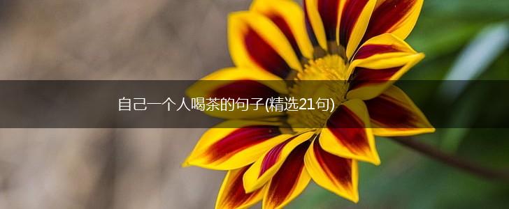 自己一个人喝茶的句子(精选21句),第1张