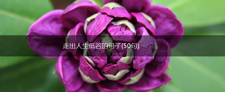 走出人生低谷的句子(50句),第1张