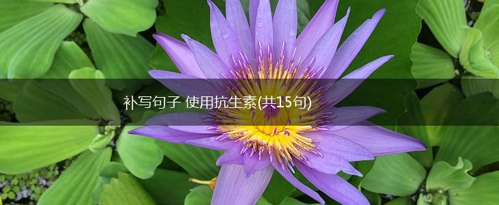 补写句子 使用抗生素(共15句),第1张