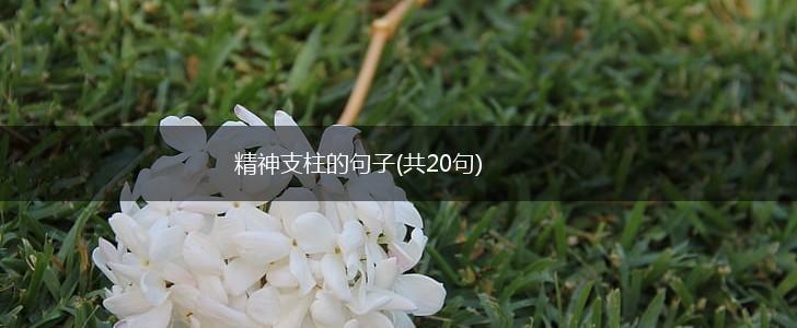 精神支柱的句子(共20句),第1张
