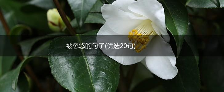 被忽悠的句子(优选20句),第1张
