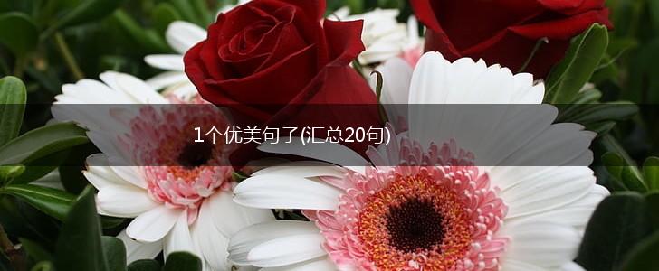 1个优美句子(汇总20句),第1张