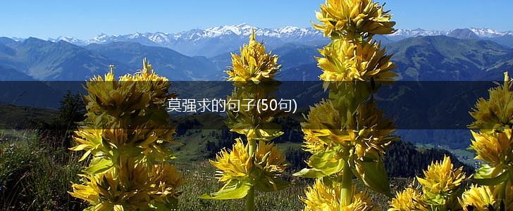 莫强求的句子(50句),第1张