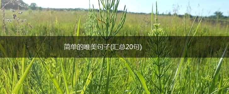 简单的唯美句子(汇总20句),第1张
