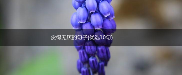贪得无厌的句子(优选10句),第1张