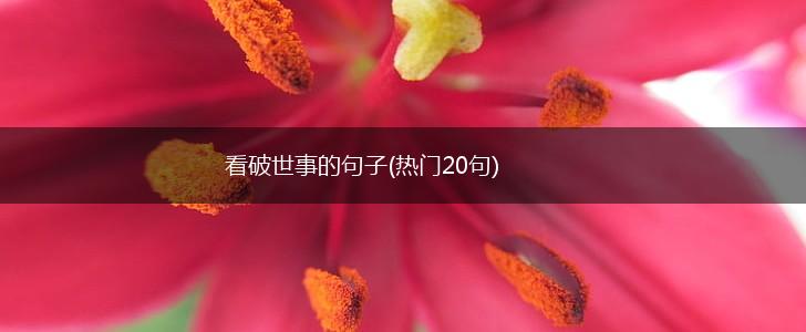 看破世事的句子(热门20句),第1张