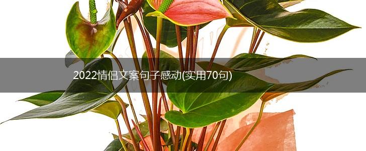 2022情侣文案句子感动(实用70句),第1张