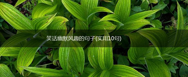 笑话幽默风趣的句子(实用10句),第1张