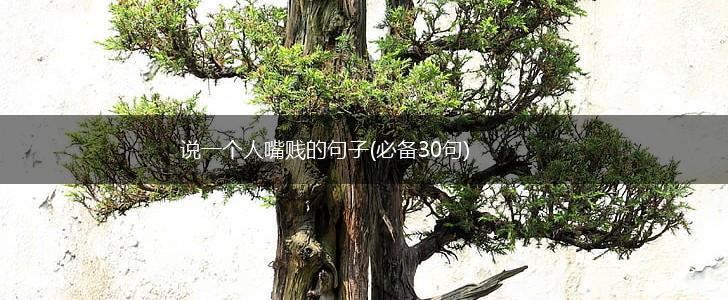 说一个人嘴贱的句子(必备30句),第1张