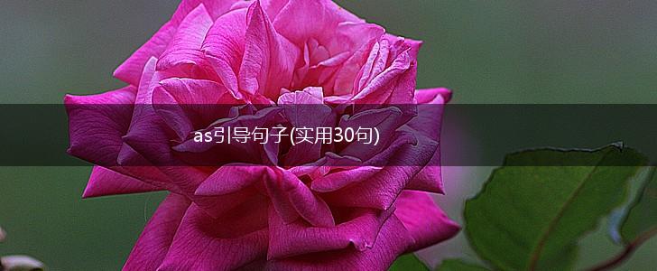 as引导句子(实用30句),第1张
